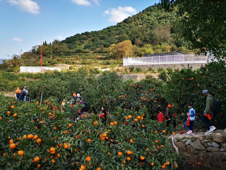 说明: F:\2020年工作合辑\5.工会\19.秋游1114\照片\8c782169c6e6adb79214b54c4ed24c8.jpg