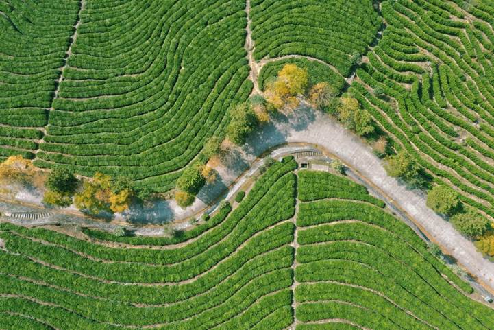 说明: F:\2020年工作合辑\5.工会\19.秋游1114\照片\0ab034156d499449dc039a700347d1b.jpg